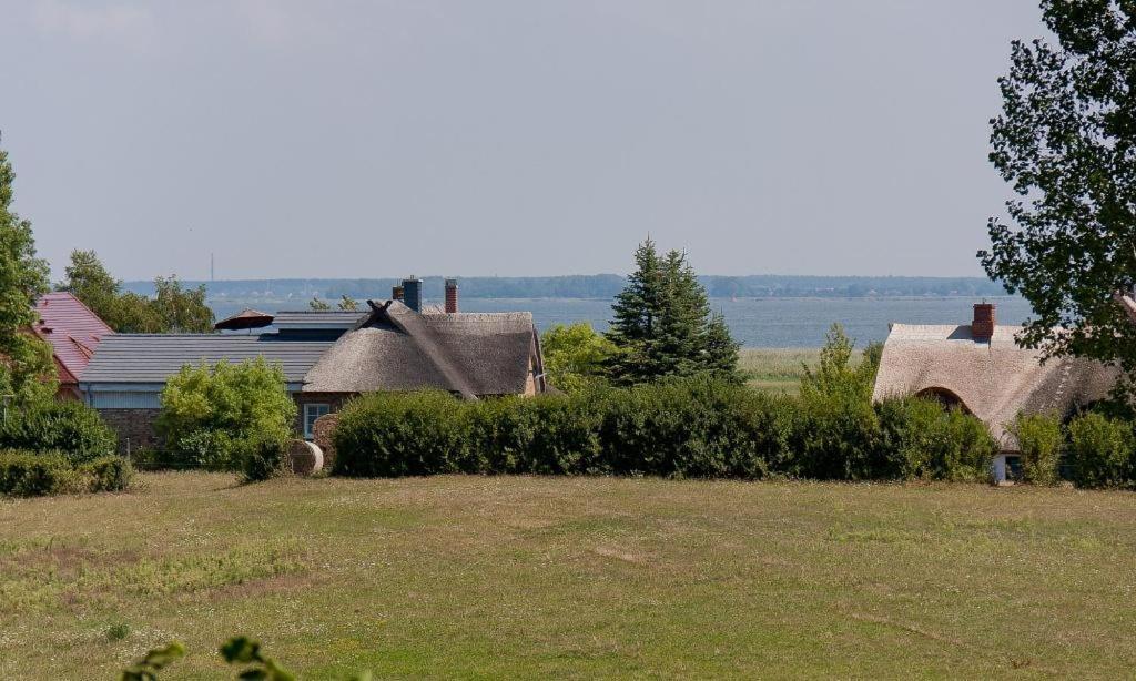 Droemhus Villa Ahrenshoop Eksteriør billede